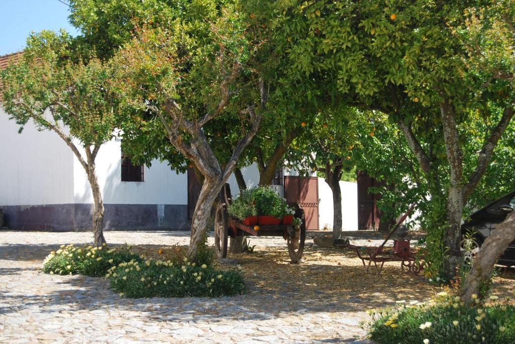 Quinta De Tourais Otel Lamego Dış mekan fotoğraf