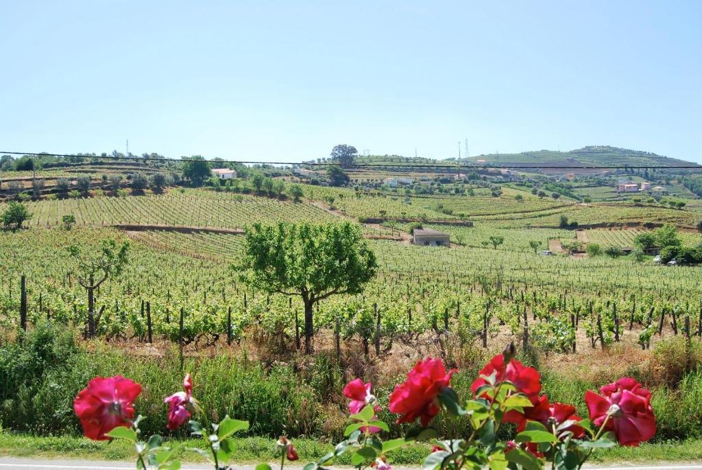 Quinta De Tourais Otel Lamego Dış mekan fotoğraf